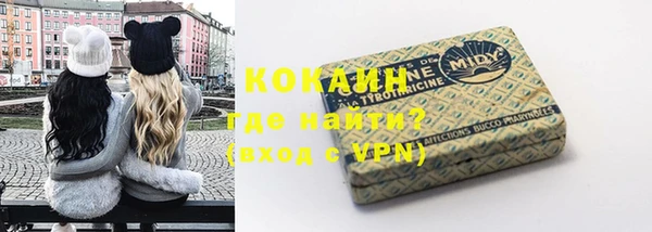 индика Абинск