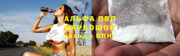 сатива Абаза