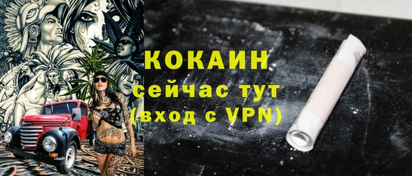 индика Абинск