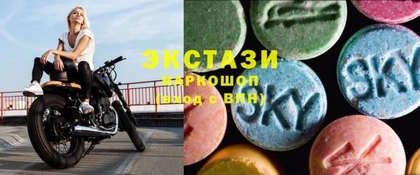 индика Алексин