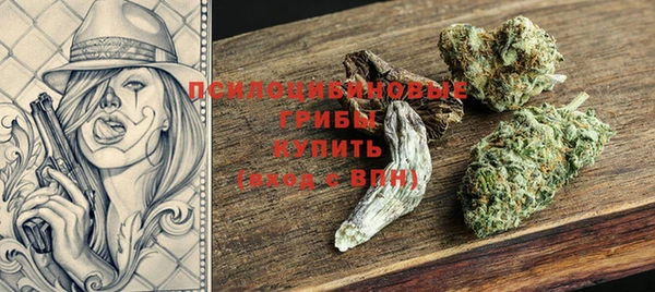 индика Абинск