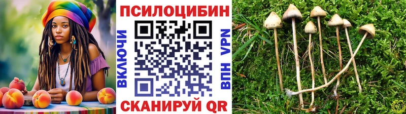 Псилоцибиновые грибы GOLDEN TEACHER  купить закладку  Магадан 